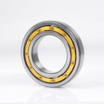 7317 BECBM SKF