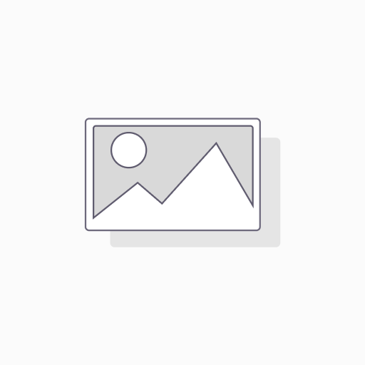 P2BL 103-TF SKF